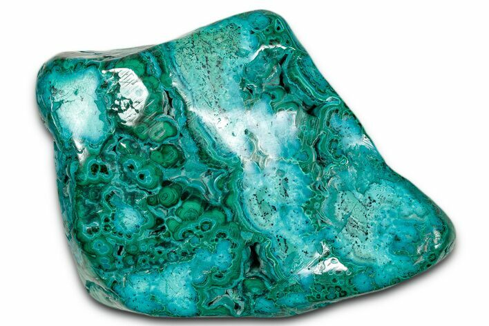 Vibrant Polished Malachite with Chrysocolla - DR Congo #336830